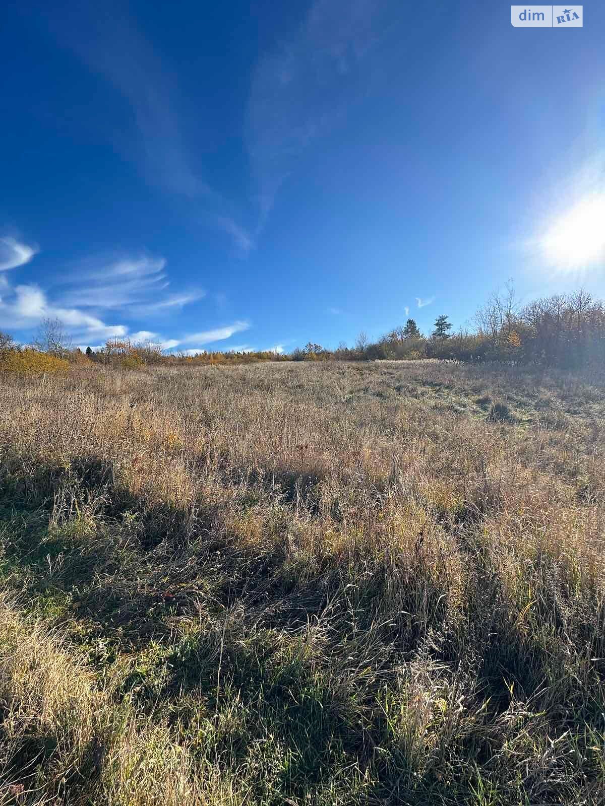 Аренда земли сельскохозяйственного назначения в Красном, цена: 35 556 грн за объект фото 1