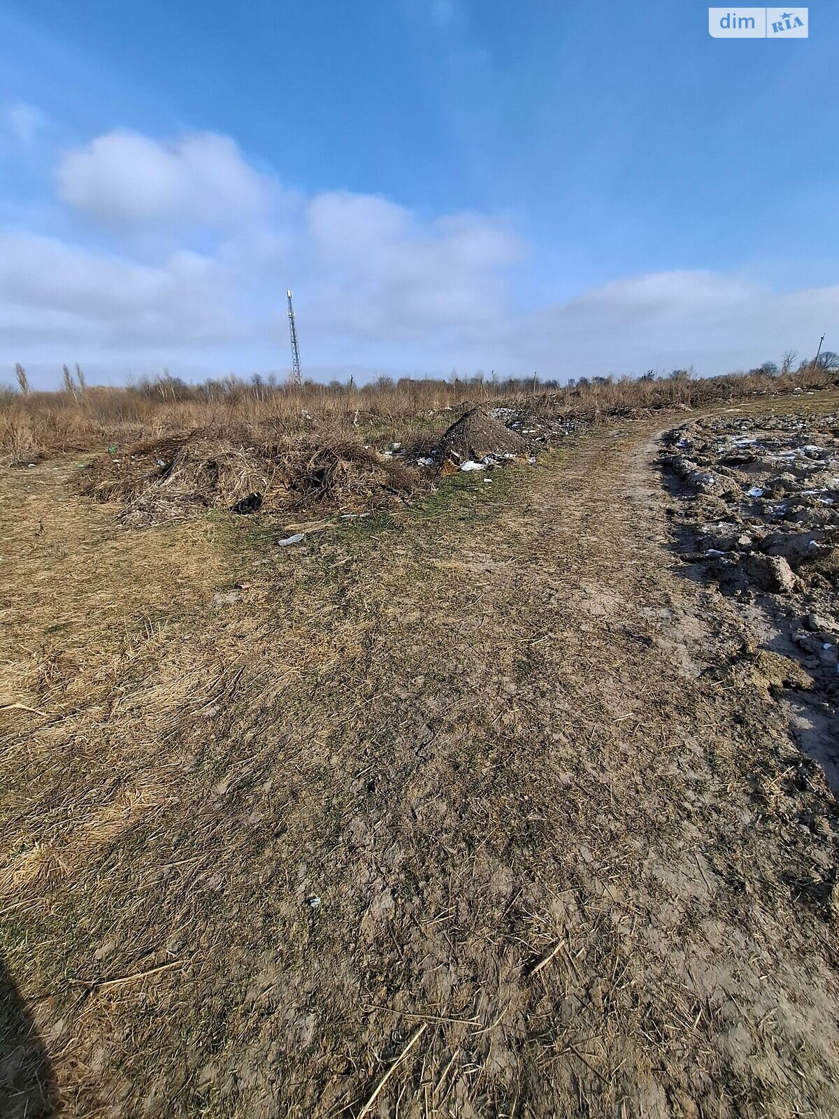 Оренда землі сільськогосподарського призначення в Кривотині, ціна: 21 581 грн за об’єкт фото 1 Оренда землі сільськогосподарського призначення в Кривотині, ціна: 21 581 грн за об’єкт фото 1