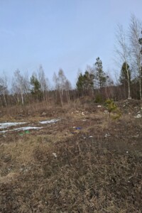 Аренда земли сельскохозяйственного назначения в Кривотине, цена: 21 308 грн за объект фото 1 Аренда земли сельскохозяйственного назначения в Кривотине, цена: 21 308 грн за объект фото 1