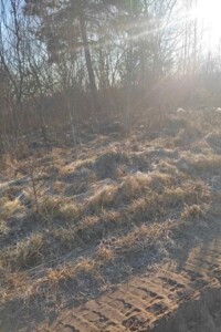 Оренда землі сільськогосподарського призначення в Кривотині, ціна: 21 581 грн за об’єкт фото 1 Оренда землі сільськогосподарського призначення в Кривотині, ціна: 21 581 грн за об’єкт фото 1