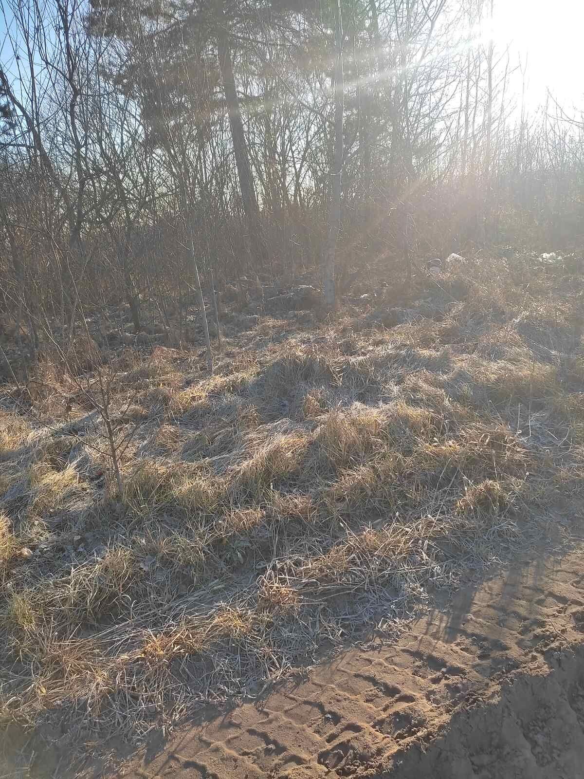 Оренда землі сільськогосподарського призначення в Кривотині, ціна: 21 581 грн за об’єкт фото 1 Оренда землі сільськогосподарського призначення в Кривотині, ціна: 21 581 грн за об’єкт фото 1