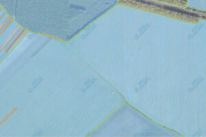 Аренда земли сельскохозяйственного назначения в Крогульце, цена: 2 156 грн за объект фото 1 Аренда земли сельскохозяйственного назначения в Крогульце, цена: 2 156 грн за объект фото 1