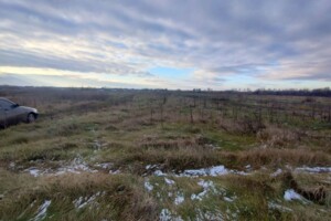 Аренда земли сельскохозяйственного назначения в Кунче, цена: 12 941 грн за объект фото 2