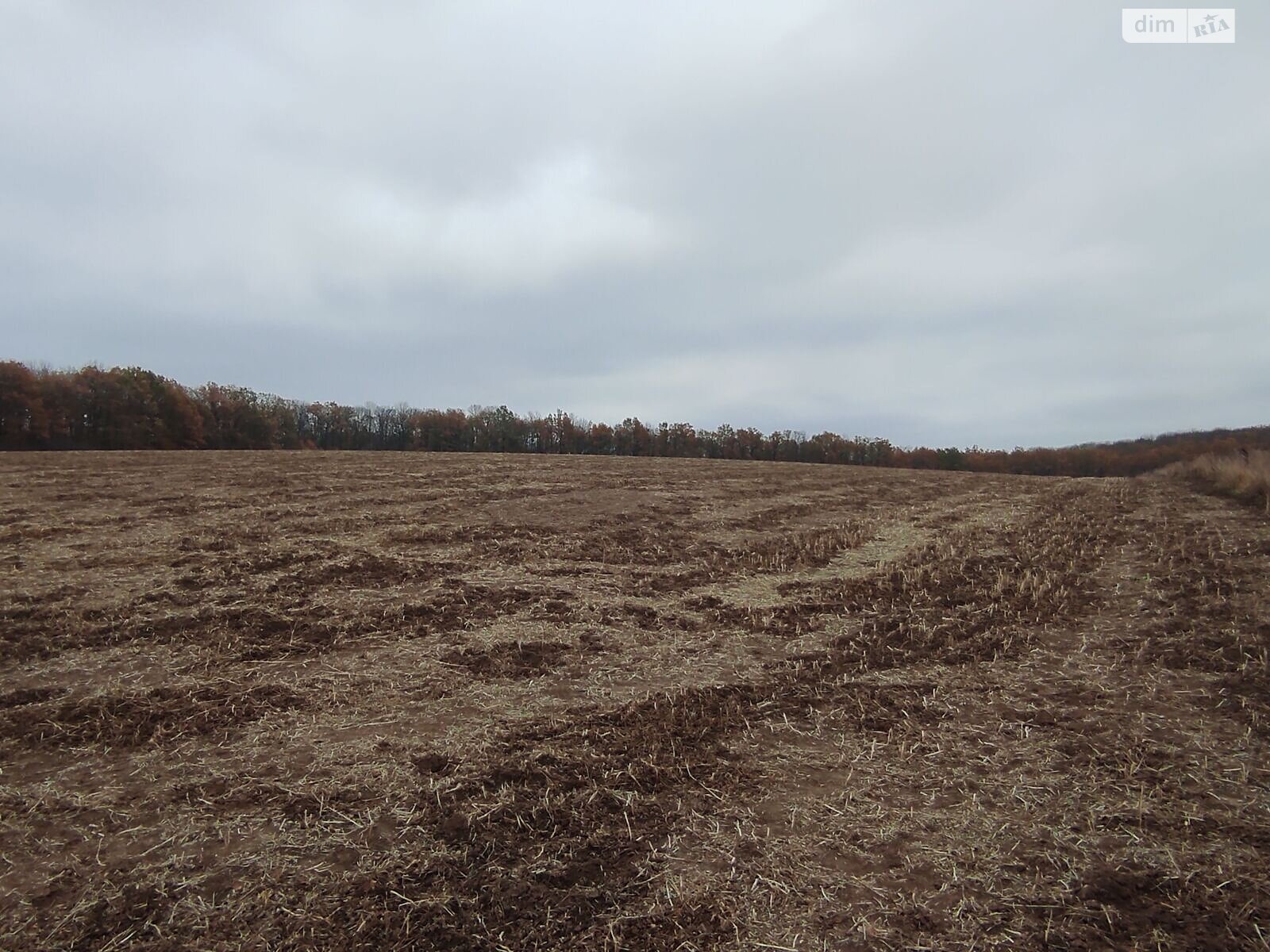 Аренда земли сельскохозяйственного назначения в Куземине, цена: 14 643 грн за объект фото 1