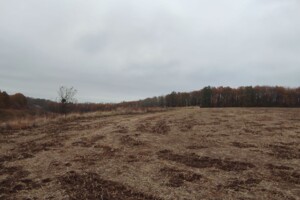 Аренда земли сельскохозяйственного назначения в Куземине, цена: 14 643 грн за объект фото 2