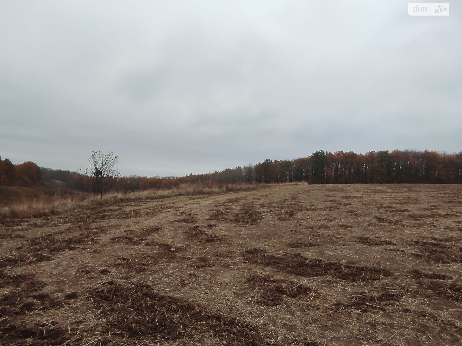 Аренда земли сельскохозяйственного назначения в Куземине, цена: 14 643 грн за объект фото 1