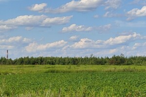 Оренда землі сільськогосподарського призначення в Лісоку, ціна: 2 485 грн за об’єкт фото 1