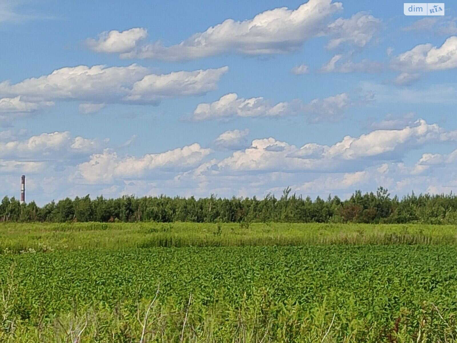 Оренда землі сільськогосподарського призначення в Лісоку, ціна: 2 485 грн за об’єкт фото 1