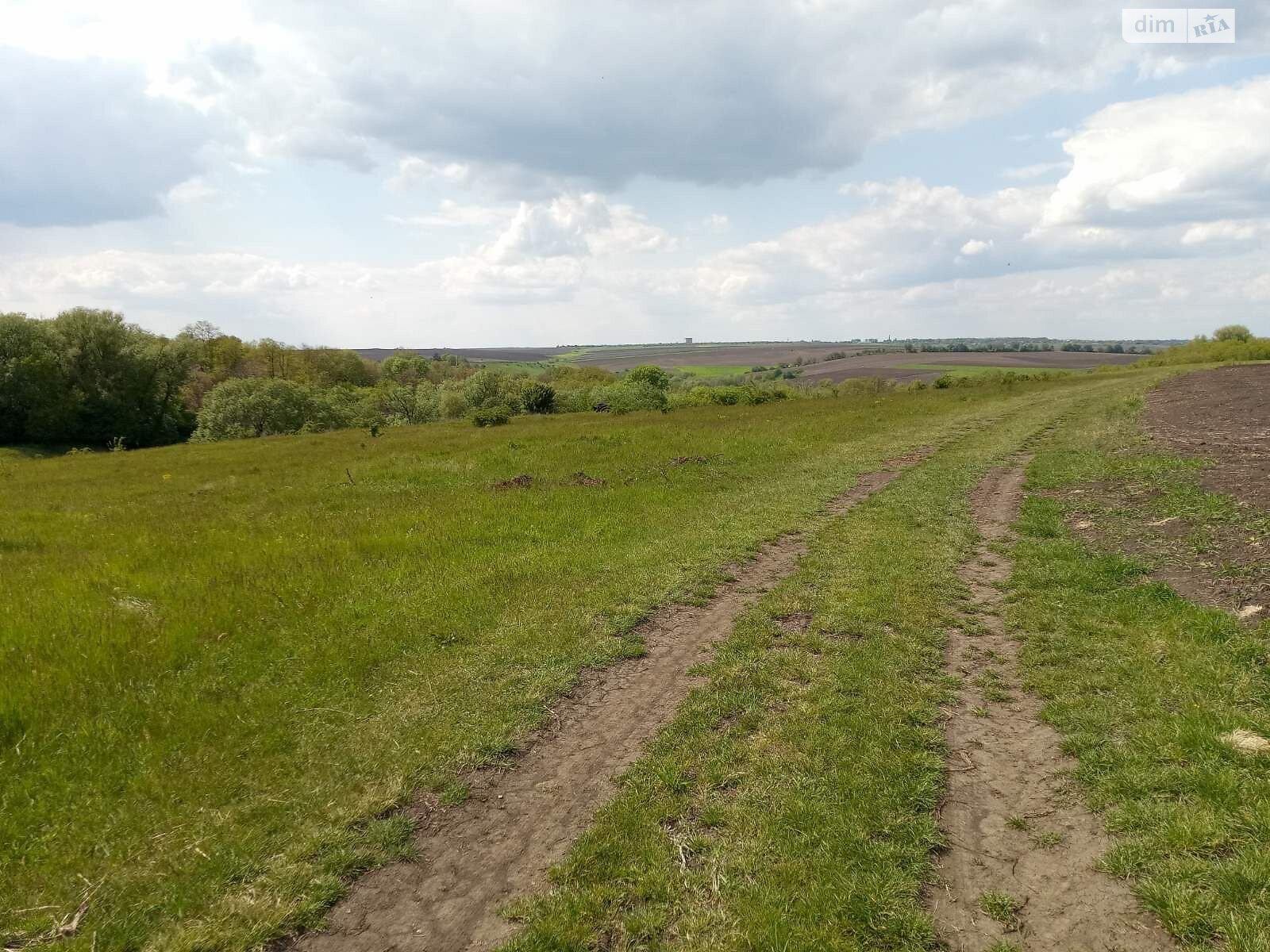 Аренда земли сельскохозяйственного назначения в Лукачовке, цена: 2 431 грн за объект фото 1