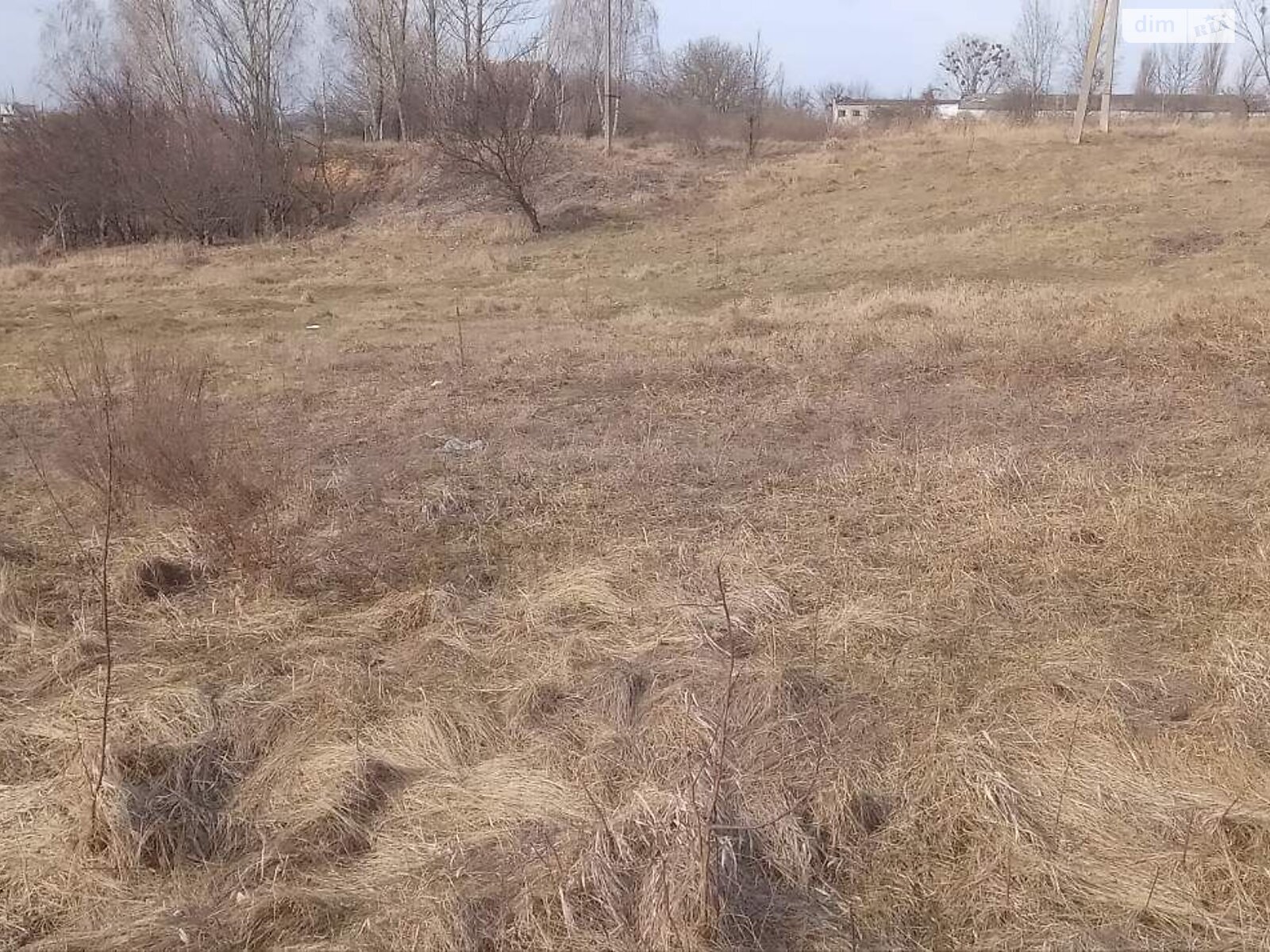 Аренда земли сельскохозяйственного назначения в Лутовке, цена: 4 503 грн за объект фото 1 Аренда земли сельскохозяйственного назначения в Лутовке, цена: 4 503 грн за объект фото 1