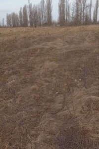 Аренда земли сельскохозяйственного назначения в Лутовке, цена: 4 503 грн за объект фото 2 Аренда земли сельскохозяйственного назначения в Лутовке, цена: 4 503 грн за объект фото 2