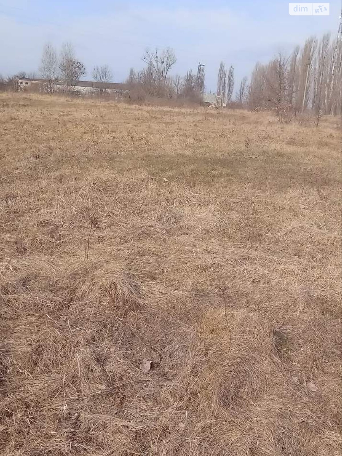 Аренда земли сельскохозяйственного назначения в Лутовке, цена: 4 503 грн за объект фото 1 Аренда земли сельскохозяйственного назначения в Лутовке, цена: 4 503 грн за объект фото 1