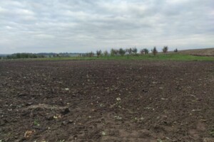 Оренда землі сільськогосподарського призначення в Люджі, ціна: 2 642 грн за об’єкт фото 1 Оренда землі сільськогосподарського призначення в Люджі, ціна: 2 642 грн за об’єкт фото 1