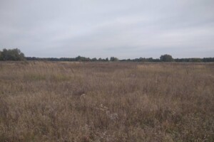 Оренда землі сільськогосподарського призначення в Макишині, ціна: 9 142 грн за об’єкт фото 1