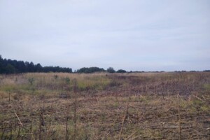 Аренда земли сельскохозяйственного назначения в Макишине, цена: 9 142 грн за объект фото 1 Аренда земли сельскохозяйственного назначения в Макишине, цена: 9 142 грн за объект фото 1