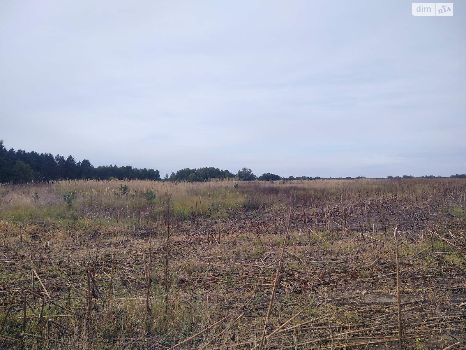 Оренда землі сільськогосподарського призначення в Макишині, ціна: 9 142 грн за об’єкт фото 1