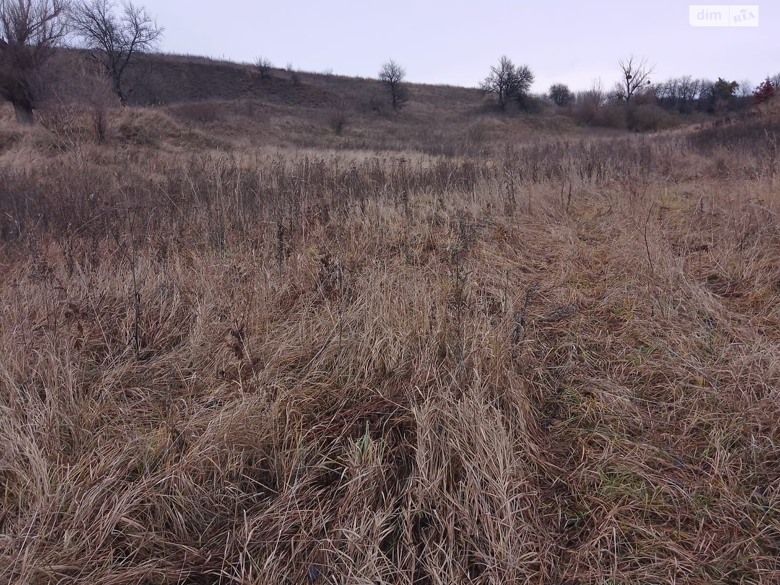 Оренда землі сільськогосподарського призначення в Малій Вільшанці, ціна: 1 940 грн за об’єкт фото 1 Оренда землі сільськогосподарського призначення в Малій Вільшанці, ціна: 1 940 грн за об’єкт фото 1