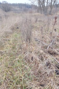 Оренда землі сільськогосподарського призначення в Малій Вільшанці, ціна: 1 940 грн за об’єкт фото 2 Оренда землі сільськогосподарського призначення в Малій Вільшанці, ціна: 1 940 грн за об’єкт фото 2