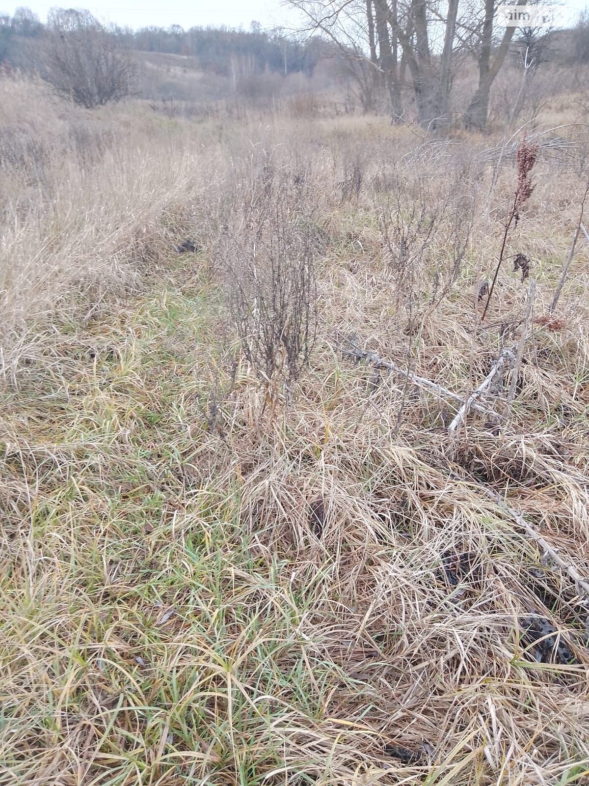 Оренда землі сільськогосподарського призначення в Малій Вільшанці, ціна: 1 940 грн за об’єкт фото 1 Оренда землі сільськогосподарського призначення в Малій Вільшанці, ціна: 1 940 грн за об’єкт фото 1