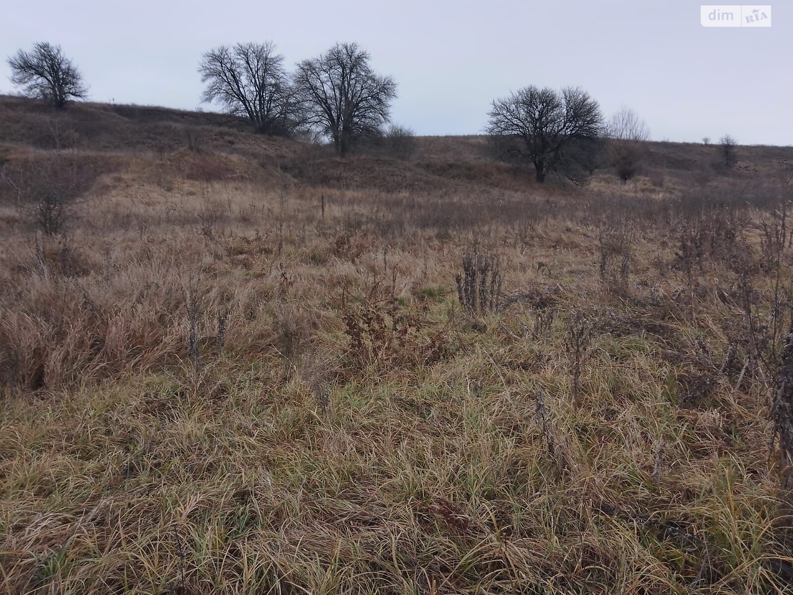 Оренда землі сільськогосподарського призначення в Малій Вільшанці, ціна: 1 940 грн за об’єкт фото 1 Оренда землі сільськогосподарського призначення в Малій Вільшанці, ціна: 1 940 грн за об’єкт фото 1