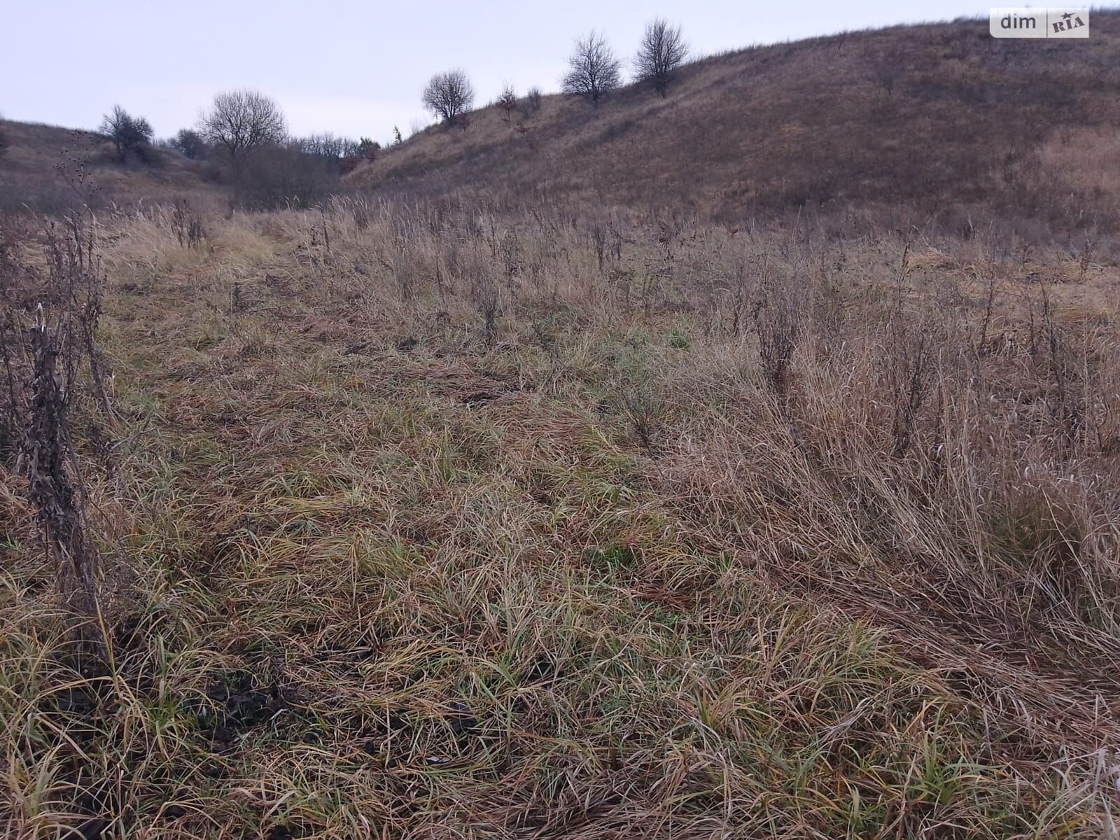 Оренда землі сільськогосподарського призначення в Малій Вільшанці, ціна: 1 940 грн за об’єкт фото 1 Оренда землі сільськогосподарського призначення в Малій Вільшанці, ціна: 1 940 грн за об’єкт фото 1