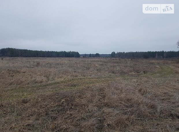 Аренда земли сельскохозяйственного назначения в селе Новоселица, цена: договорная за объект фото 1 Аренда земли сельскохозяйственного назначения в селе Новоселица, цена: договорная за объект фото 1