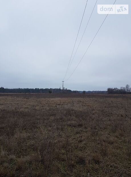 Аренда земли сельскохозяйственного назначения в селе Новоселица, цена: договорная за объект фото 1
