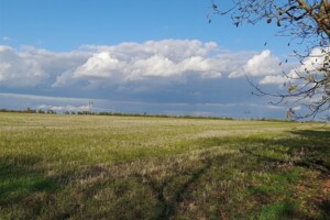 Оренда землі сільськогосподарського призначення в Майорах, ціна: 40 097 грн за об’єкт фото 1 Оренда землі сільськогосподарського призначення в Майорах, ціна: 40 097 грн за об’єкт фото 1