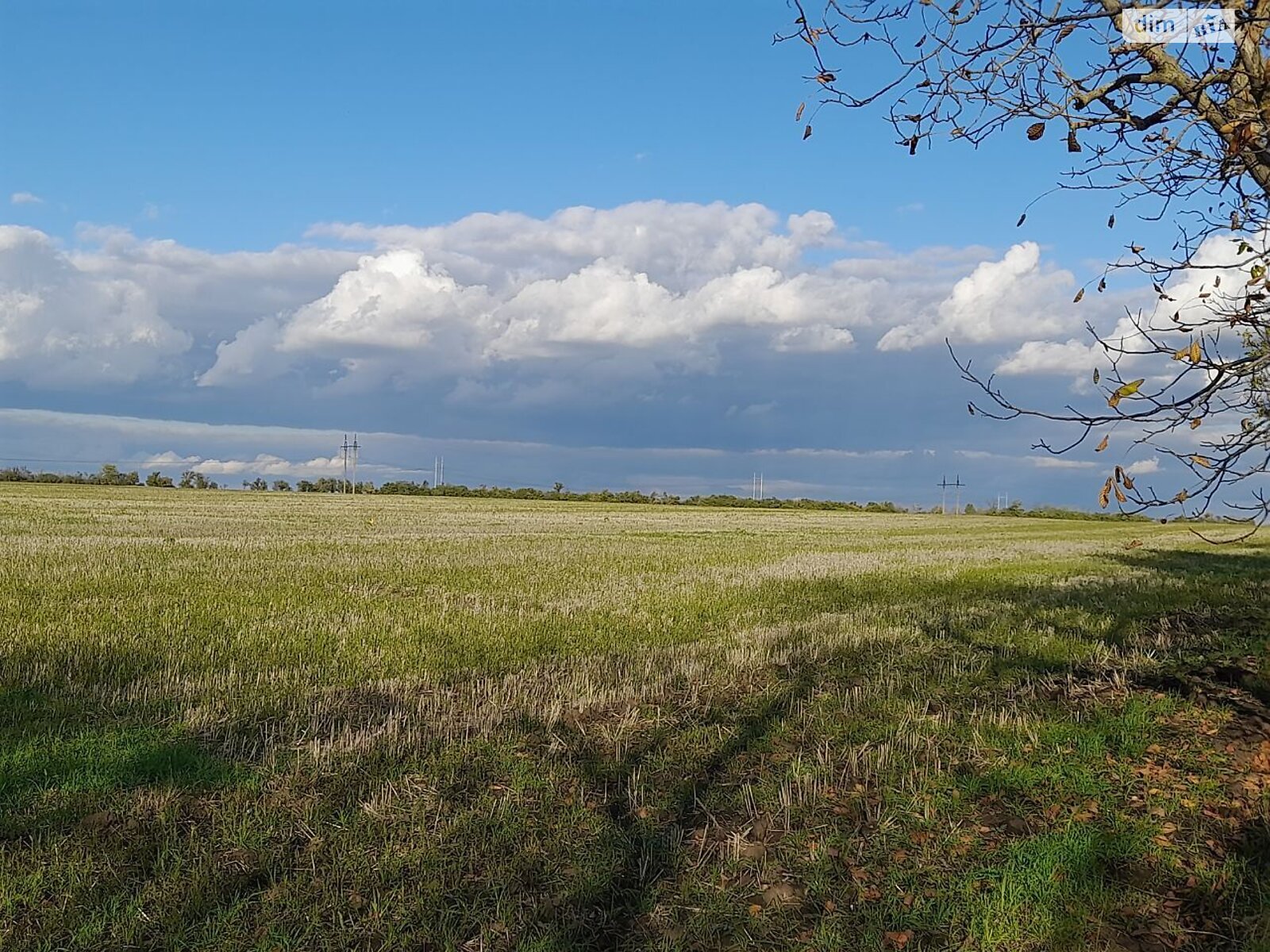 Оренда землі сільськогосподарського призначення в Майорах, ціна: 40 097 грн за об’єкт фото 1 Оренда землі сільськогосподарського призначення в Майорах, ціна: 40 097 грн за об’єкт фото 1