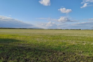 Оренда землі сільськогосподарського призначення в Майорах, ціна: 20 477 грн за об’єкт фото 1 Оренда землі сільськогосподарського призначення в Майорах, ціна: 20 477 грн за об’єкт фото 1