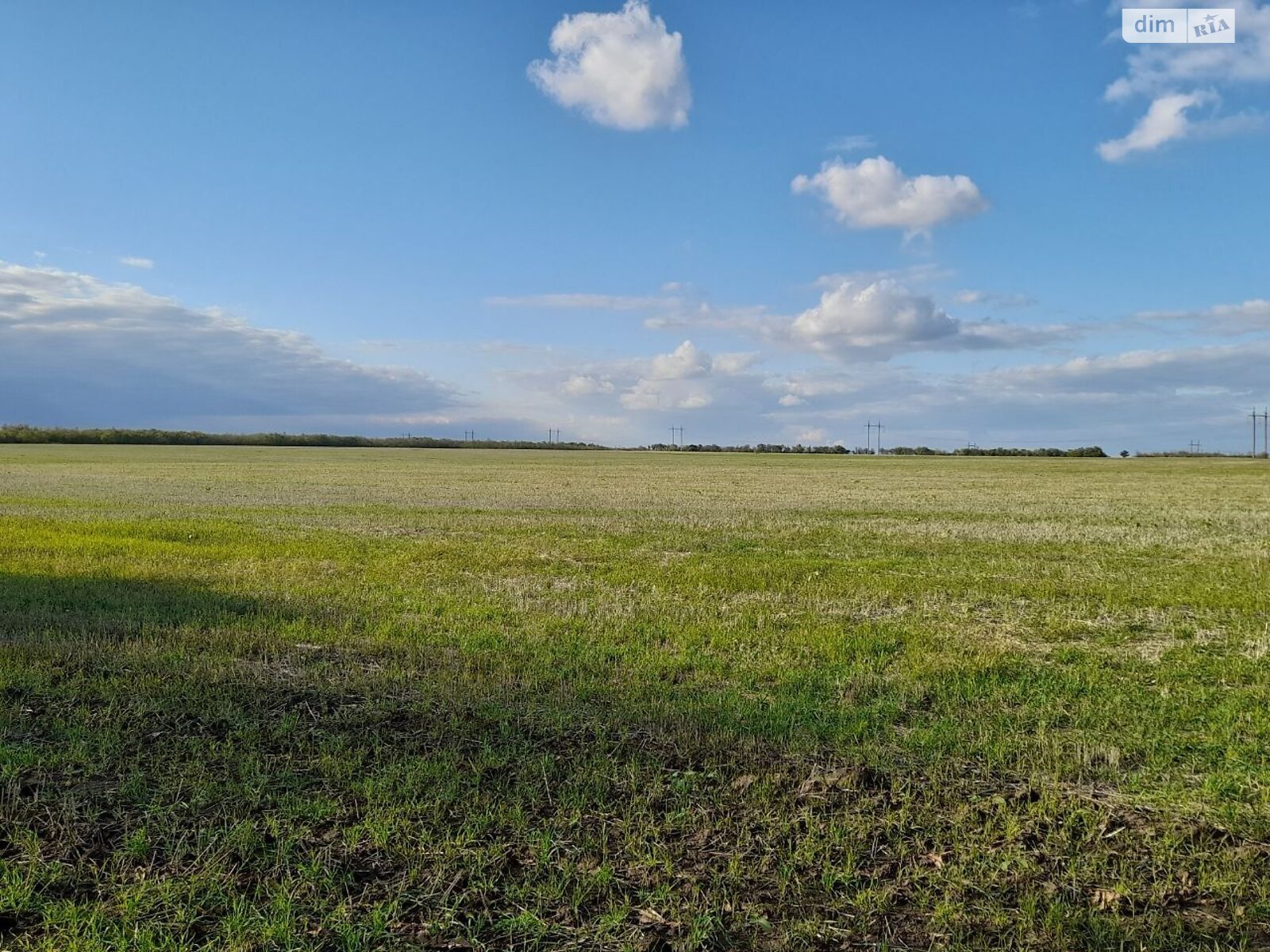 Оренда землі сільськогосподарського призначення в Майорах, ціна: 20 477 грн за об’єкт фото 1 Оренда землі сільськогосподарського призначення в Майорах, ціна: 20 477 грн за об’єкт фото 1