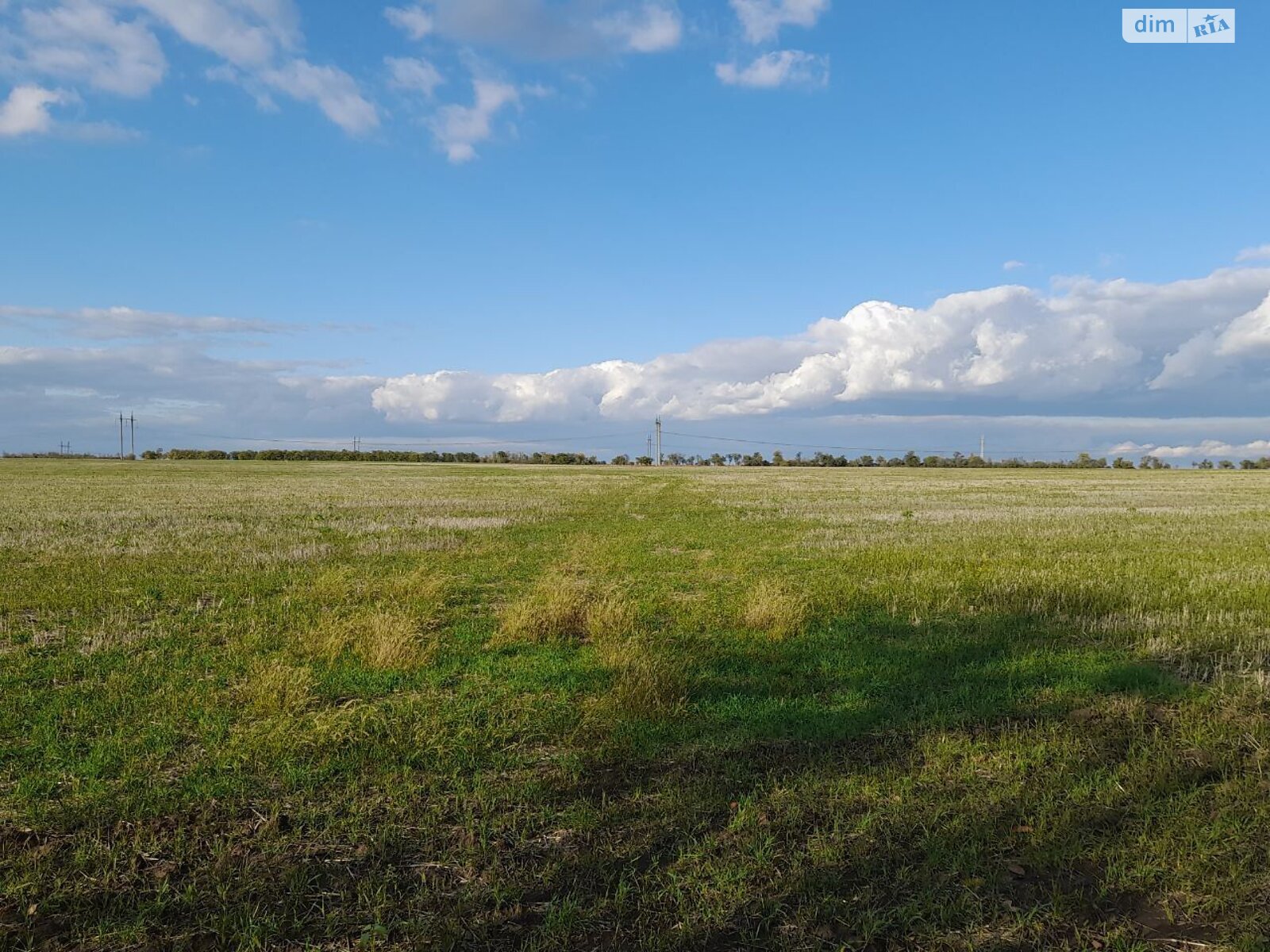 Оренда землі сільськогосподарського призначення в Майорах, ціна: 40 097 грн за об’єкт фото 1 Оренда землі сільськогосподарського призначення в Майорах, ціна: 40 097 грн за об’єкт фото 1