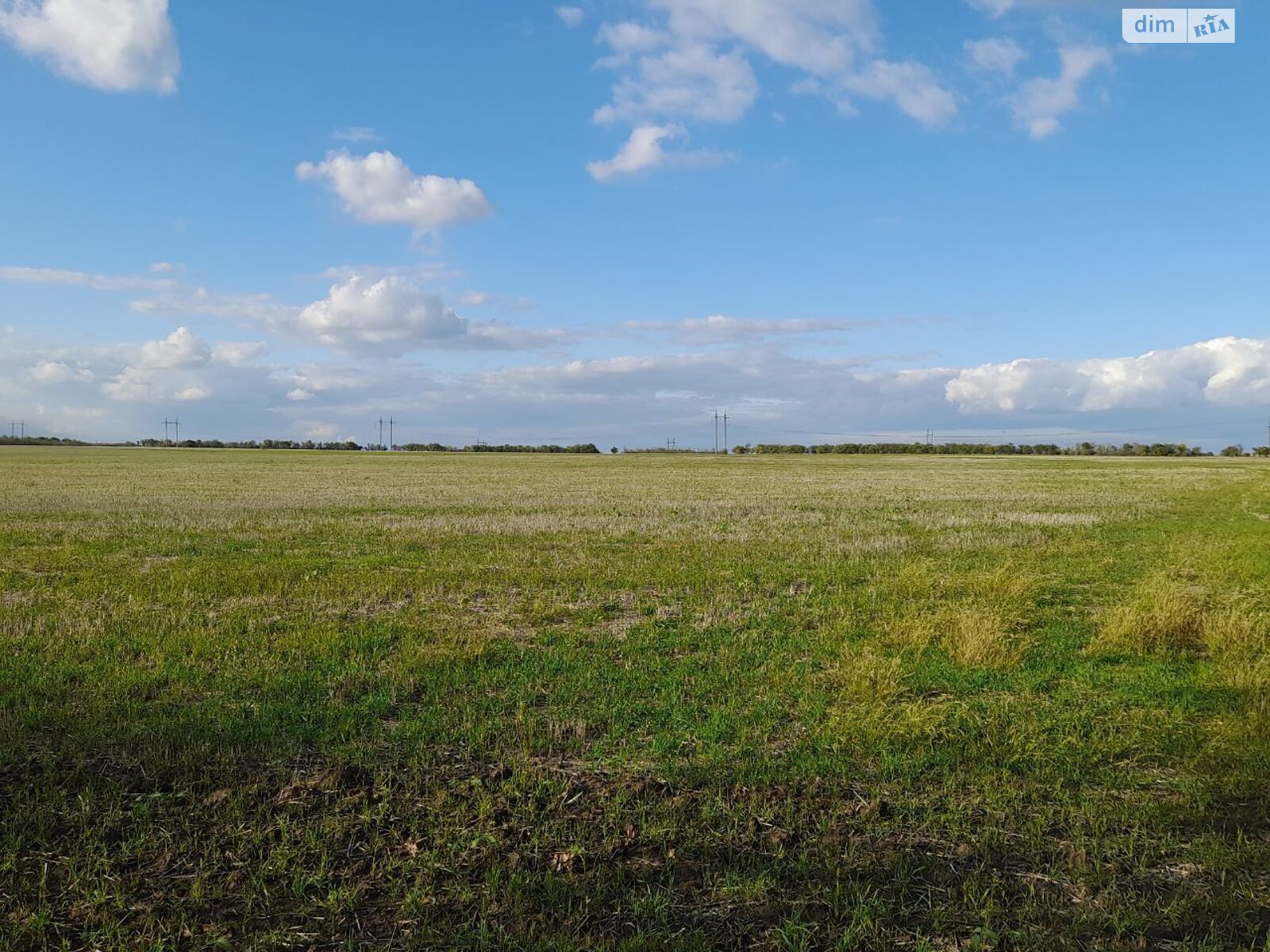 Оренда землі сільськогосподарського призначення в Майорах, ціна: 20 477 грн за об’єкт фото 1 Оренда землі сільськогосподарського призначення в Майорах, ціна: 20 477 грн за об’єкт фото 1