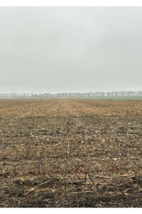 Аренда земли сельскохозяйственного назначения в Мазинках, цена: 22 490 грн за объект фото 1 Аренда земли сельскохозяйственного назначения в Мазинках, цена: 22 490 грн за объект фото 1