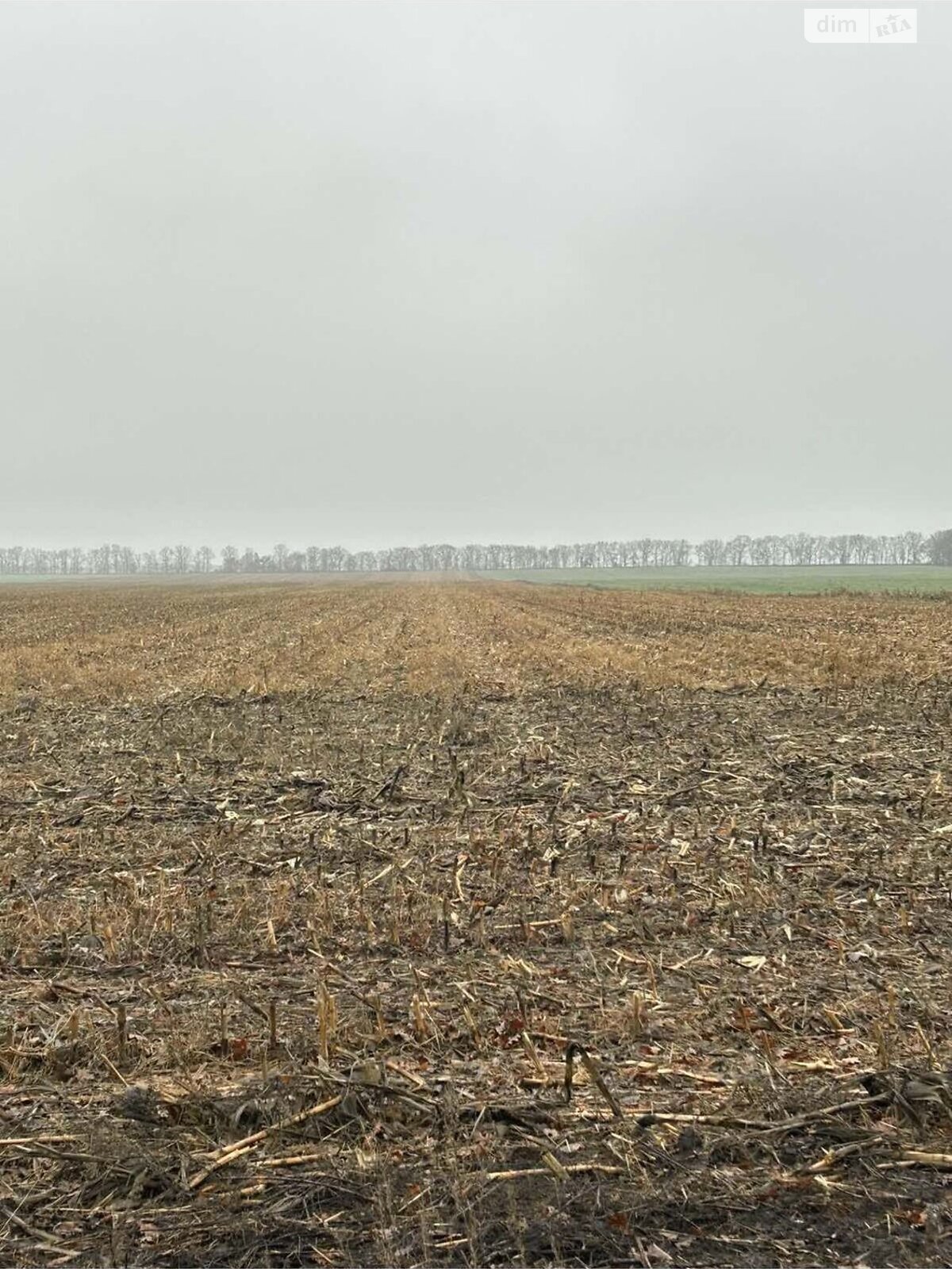 Аренда земли сельскохозяйственного назначения в Мазинках, цена: 22 490 грн за объект фото 1 Аренда земли сельскохозяйственного назначения в Мазинках, цена: 22 490 грн за объект фото 1