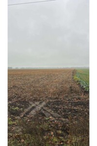 Аренда земли сельскохозяйственного назначения в Мазинках, цена: 22 199 грн за объект фото 1 Аренда земли сельскохозяйственного назначения в Мазинках, цена: 22 199 грн за объект фото 1