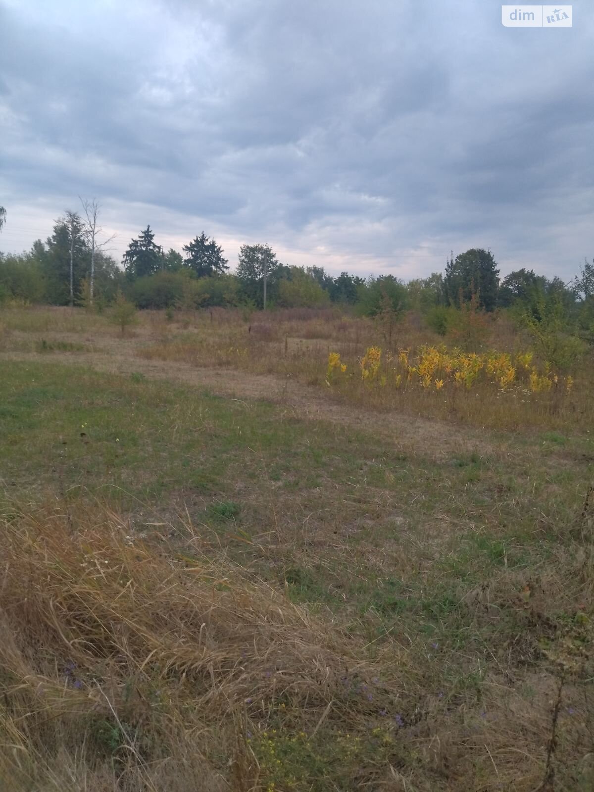 Аренда земли сельскохозяйственного назначения в Михайловке, цена: 773 грн за объект фото 1