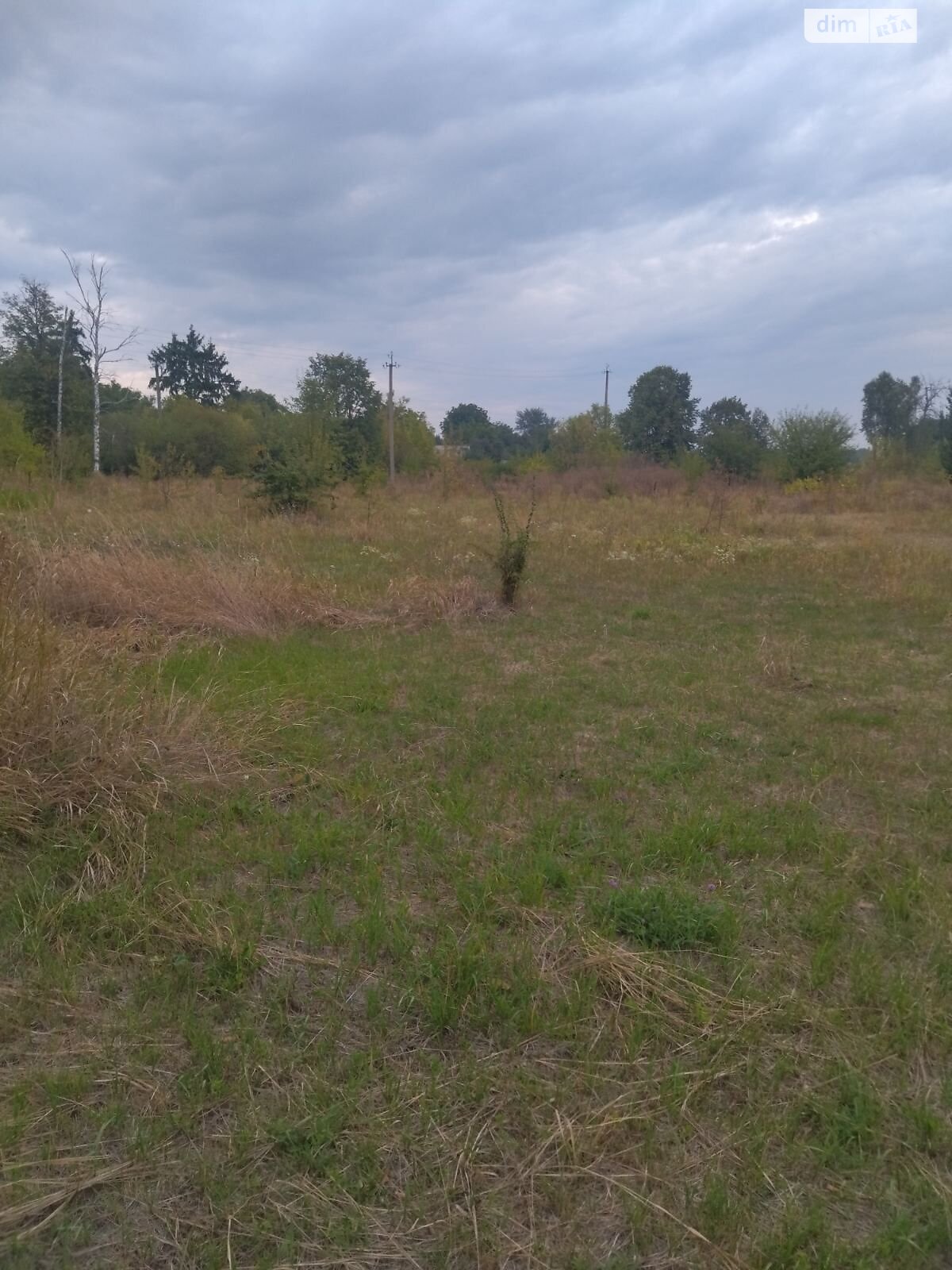 Аренда земли сельскохозяйственного назначения в Михайловке, цена: 773 грн за объект фото 1 Аренда земли сельскохозяйственного назначения в Михайловке, цена: 773 грн за объект фото 1