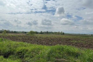 Аренда земли сельскохозяйственного назначения в Мишине, цена: 5 778 грн за объект фото 2 Аренда земли сельскохозяйственного назначения в Мишине, цена: 5 778 грн за объект фото 2