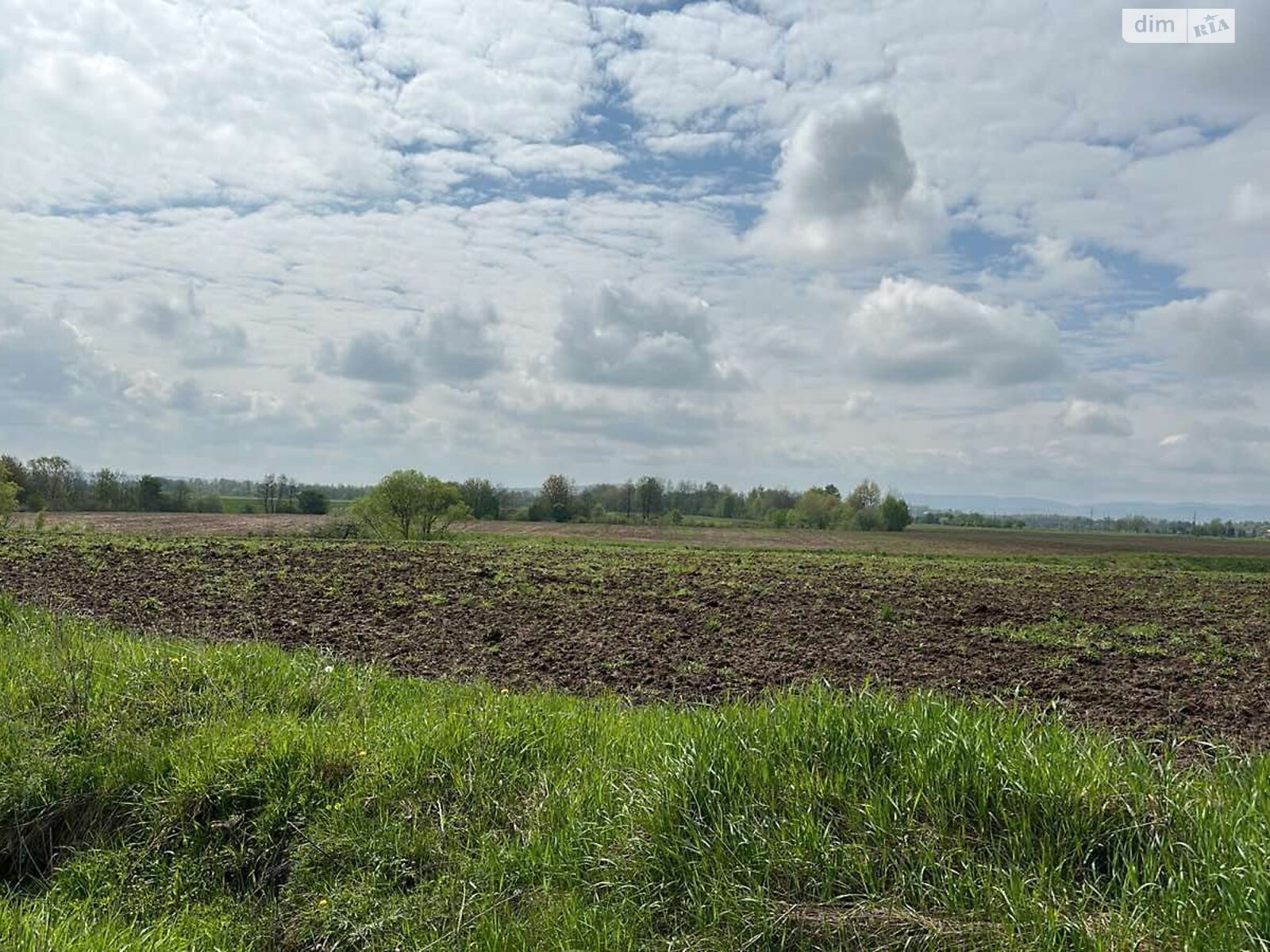 Аренда земли сельскохозяйственного назначения в Мишине, цена: 5 778 грн за объект фото 1 Аренда земли сельскохозяйственного назначения в Мишине, цена: 5 778 грн за объект фото 1