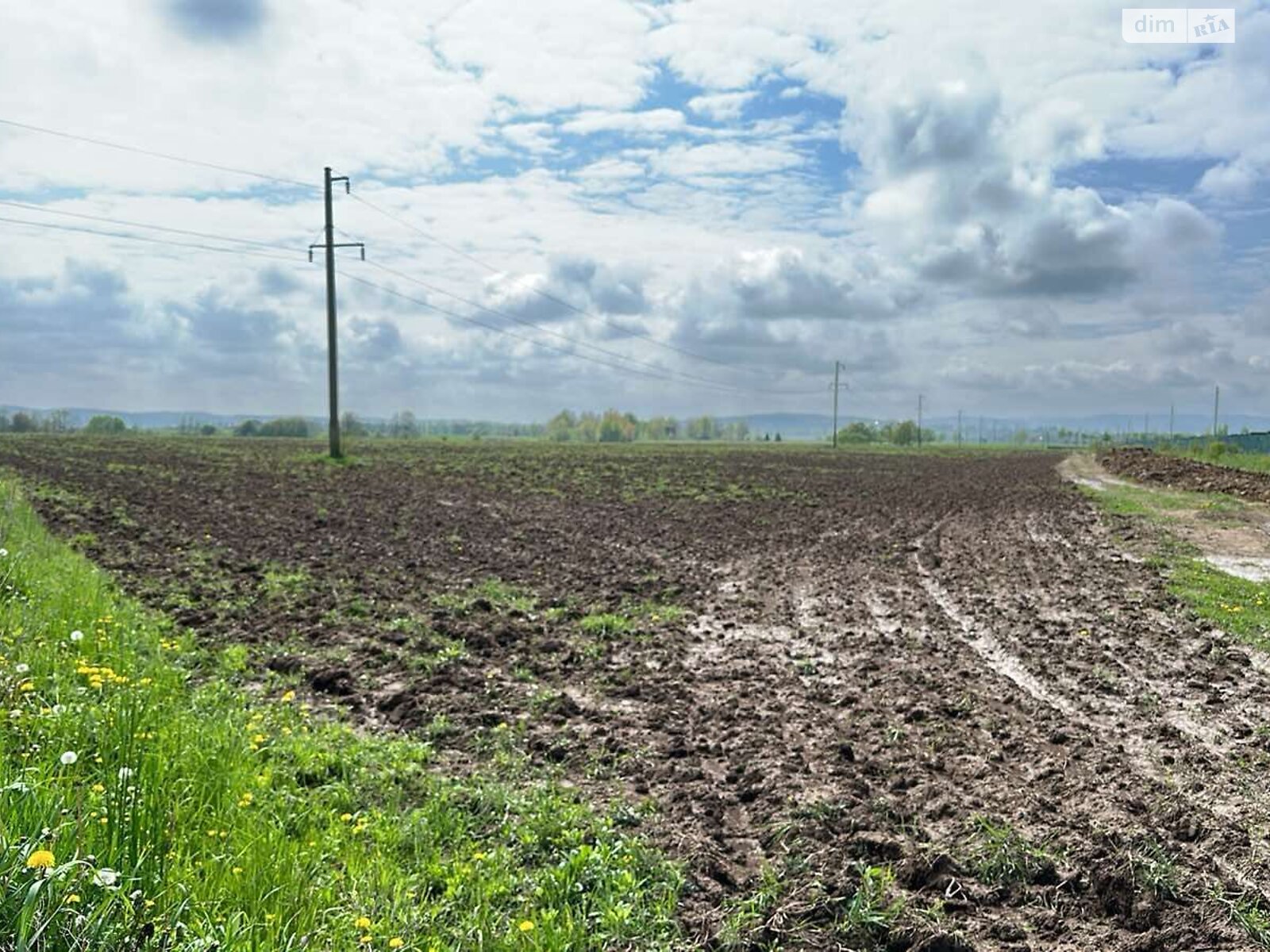Аренда земли сельскохозяйственного назначения в Мишине, цена: 5 778 грн за объект фото 1 Аренда земли сельскохозяйственного назначения в Мишине, цена: 5 778 грн за объект фото 1