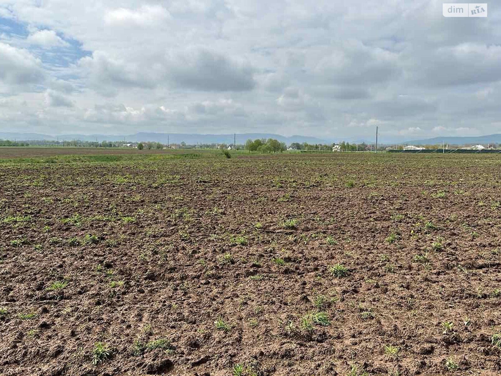 Аренда земли сельскохозяйственного назначения в Мишине, цена: 5 778 грн за объект фото 1 Аренда земли сельскохозяйственного назначения в Мишине, цена: 5 778 грн за объект фото 1