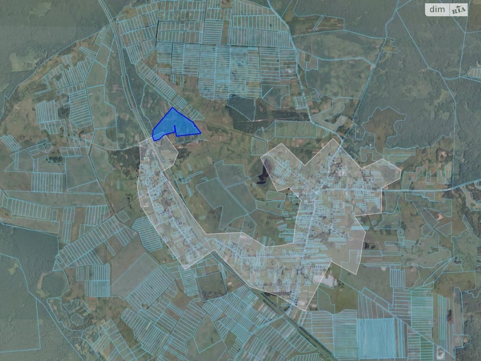 Оренда землі сільськогосподарського призначення в Мизове, ціна: 36 506 грн за об’єкт фото 1