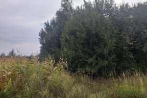 Аренда земли сельскохозяйственного назначения в Мокротине, цена: 7 070 грн за объект фото 2 Аренда земли сельскохозяйственного назначения в Мокротине, цена: 7 070 грн за объект фото 2