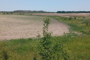 Аренда земли сельскохозяйственного назначения в Моквинских Хуторах, цена: 5 242 грн за объект фото 1 Аренда земли сельскохозяйственного назначения в Моквинских Хуторах, цена: 5 242 грн за объект фото 1