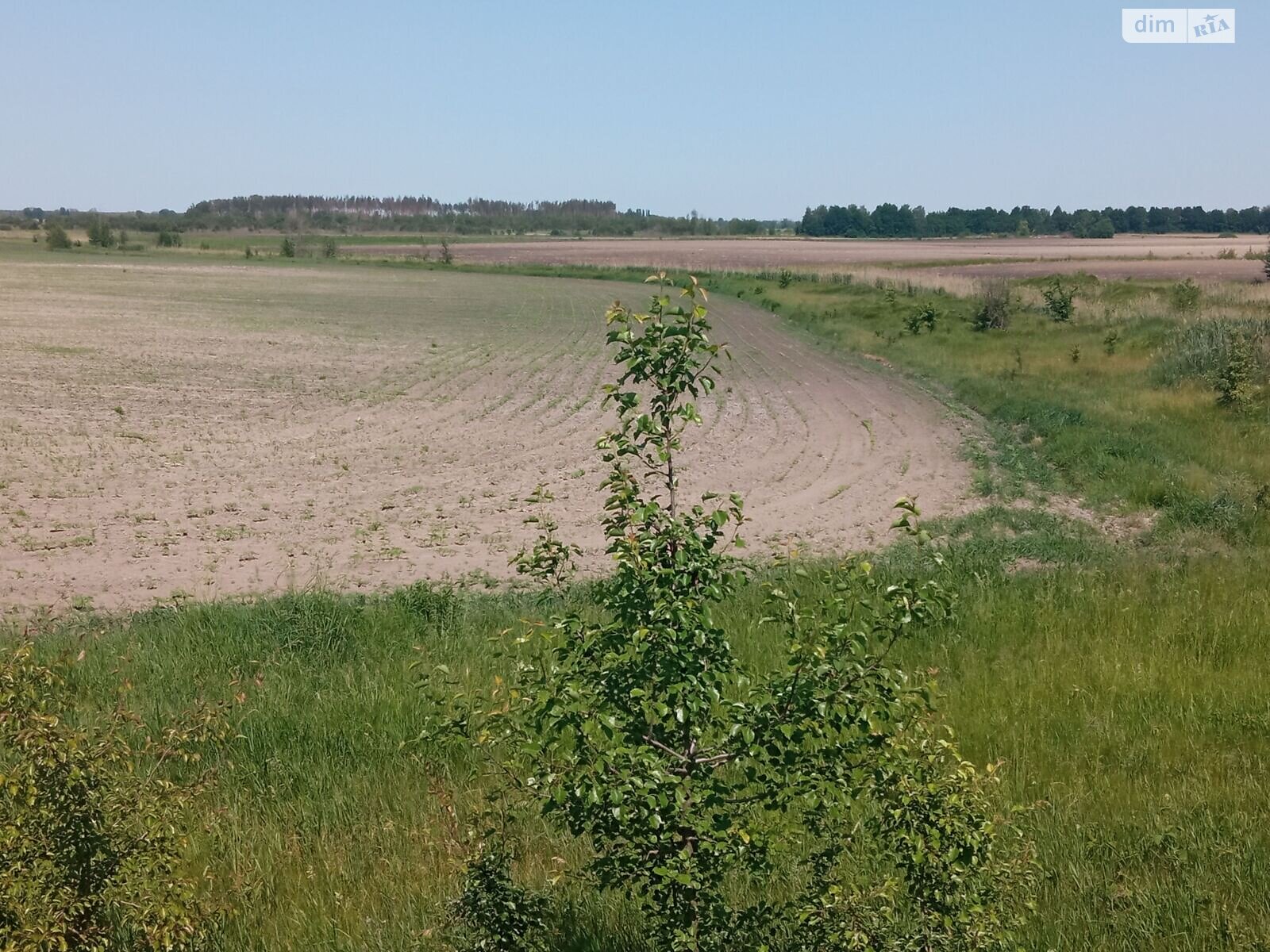 Аренда земли сельскохозяйственного назначения в Моквинских Хуторах, цена: 5 242 грн за объект фото 1 Аренда земли сельскохозяйственного назначения в Моквинских Хуторах, цена: 5 242 грн за объект фото 1