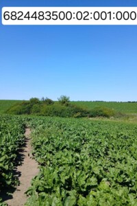 Оренда землі сільськогосподарського призначення в Мшанці, ціна: 184 грн за об’єкт фото 1 Оренда землі сільськогосподарського призначення в Мшанці, ціна: 184 грн за об’єкт фото 1