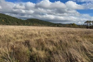 Оренда землі сільськогосподарського призначення в Мшанці, ціна: 2 021 грн за об’єкт фото 1