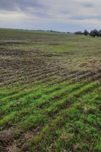 Оренда землі сільськогосподарського призначення в Муравлівці, ціна: 60 318 грн за об’єкт фото 2