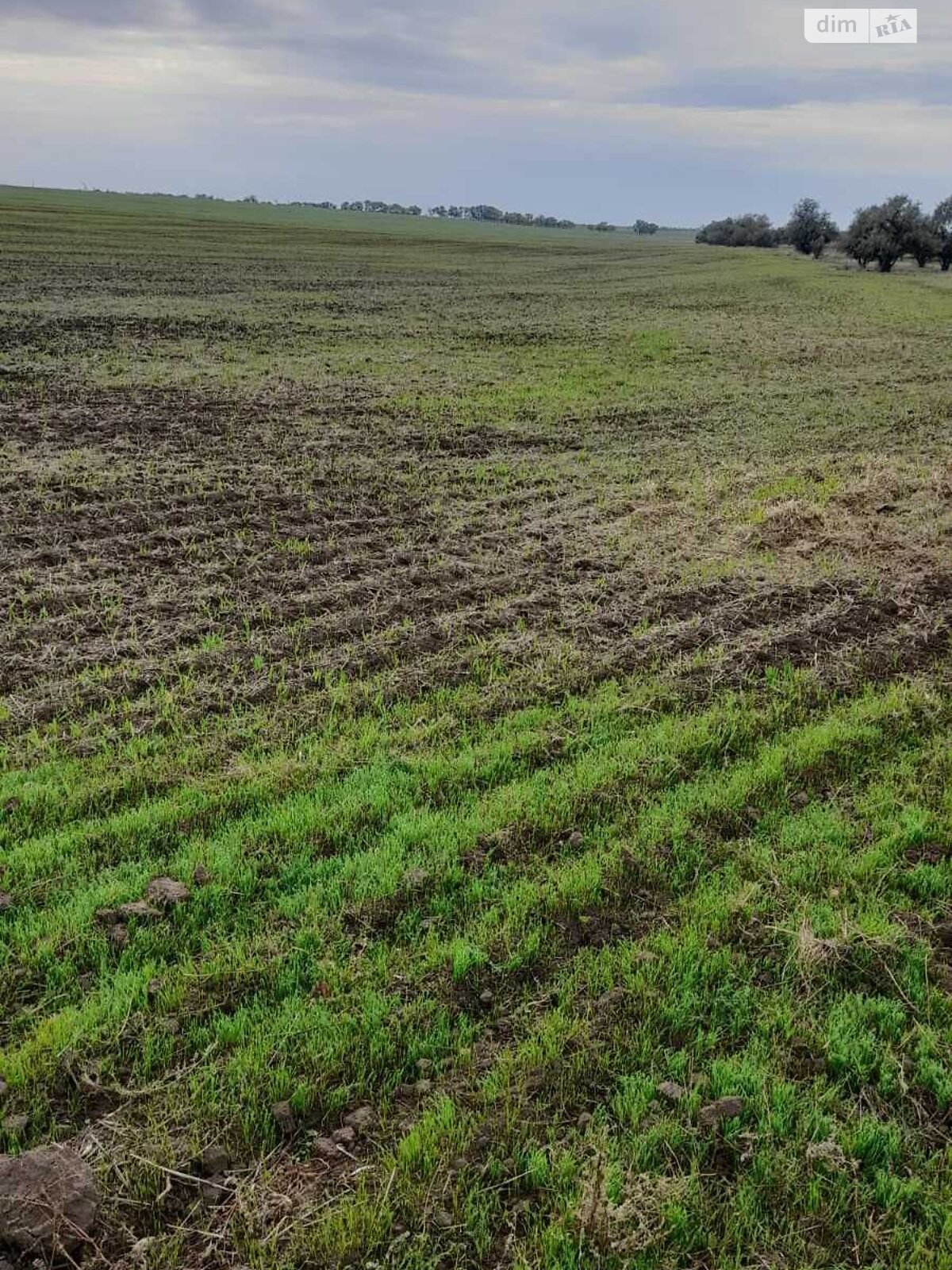 Оренда землі сільськогосподарського призначення в Муравлівці, ціна: 60 318 грн за об’єкт фото 1